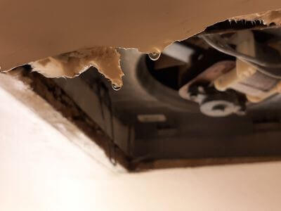 Professional mold removal services in Brea